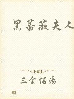 黑蔷薇夫人