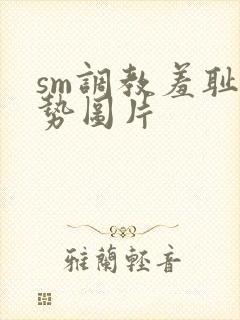 sm调教羞耻姿势图片