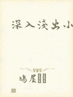深入浅出小说