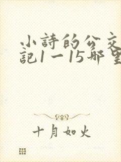 小诗的公交车日记1一15哪里能看