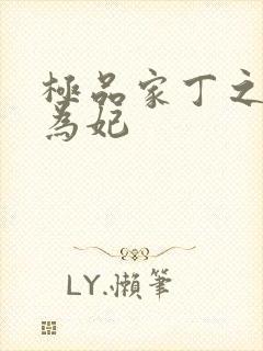 极品家丁之册母为妃