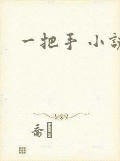 一把手 小说