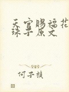 天官赐福花怜塞珠子原文封面