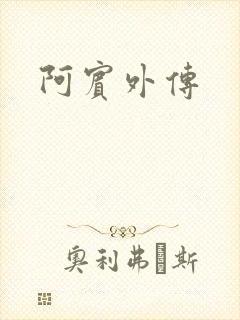 阿宾外传封面