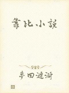 靠比小说
