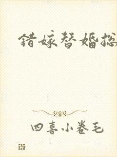 错嫁替婚总裁