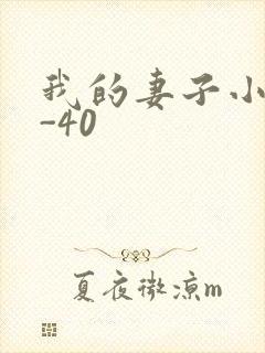我的妻子小谨1-40