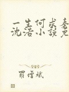 一生何求秦菲雪沈浩小说免费阅读全文封面