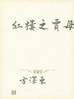 红楼之贾母