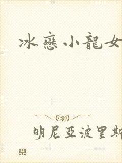 冰恋小龙女封面