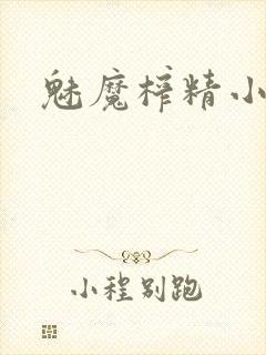 魅魔榨精小说