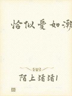 恰似爱如潮