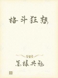 格斗狂想封面