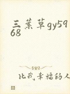 三叶草gy5968