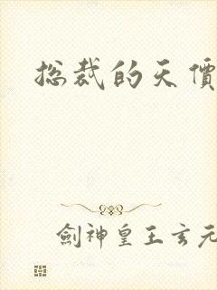 总裁的天价宠妻封面