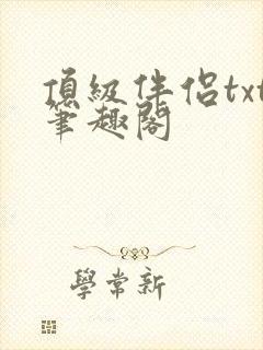 顶级伴侣txt笔趣阁