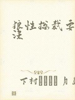 狼性总裁要够了没