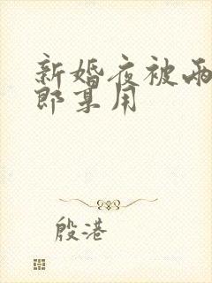 新婚夜被两个伴郎享用封面