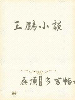 王鹏小说
