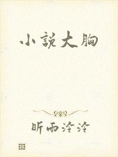 小说大胸