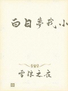 白日梦我小说