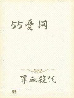 55爱网