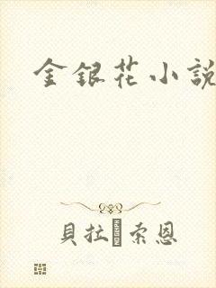 金银花小说乐可