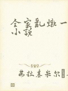 全家乱炖一锅烩小说