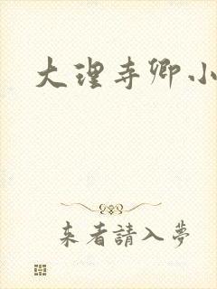 大理寺卿小说