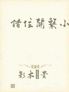 错位关系小说