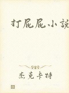 打屁屁小说封面