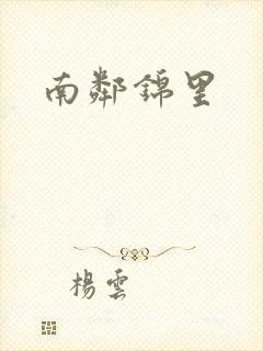 南邻锦里封面