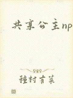 共享公主npc