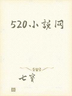 520小说网封面
