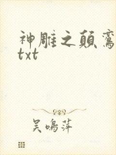 神雕之颠鸾倒凤txt封面