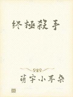 终极杀手