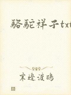 骆驼祥子txt