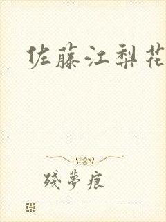 佐藤江梨花封面