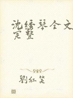 沈绣琴全文阅读完整封面