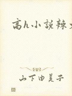 高h小说辣文