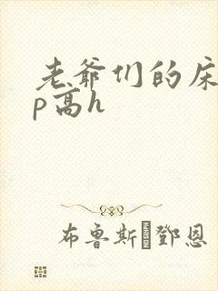 老爷们的床奴np高h封面