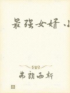 最强女婿 小说