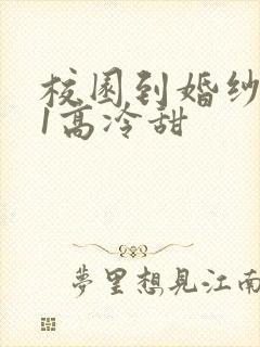 校园到婚纱1V1高冷甜