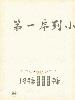 第一序列小说