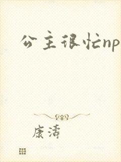 公主很忙npc
