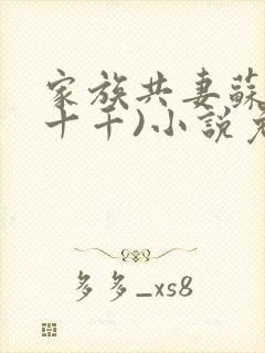 家族共妻苏苏(十千)小说免费