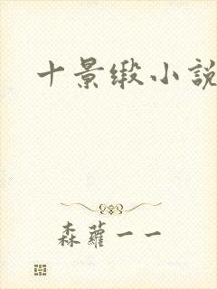 十景缎小说封面