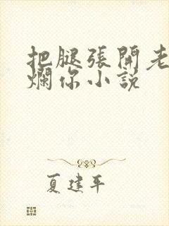 把腿张开老子臊烂你小说