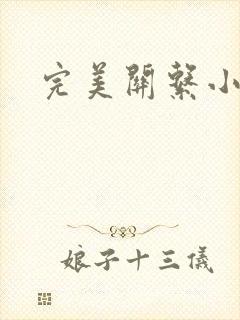 完美关系小说