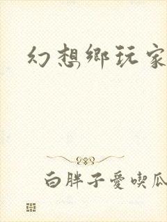 幻想乡玩家